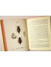 Atlas de poche des insectes de France