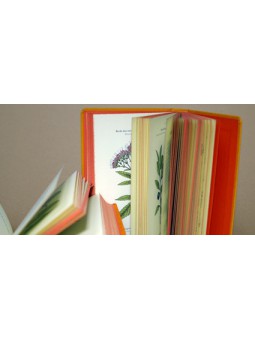 Atlas de poches des plantes des champs des pariries et des bois