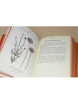 Atlas de poches des plantes des champs des pariries et des bois Serie 3