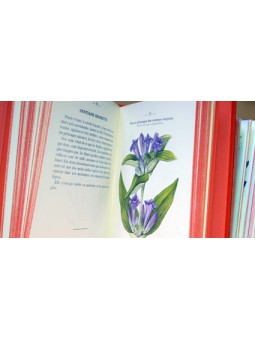 Atlas de poches des plantes des champs des pariries et des bois Serie 4