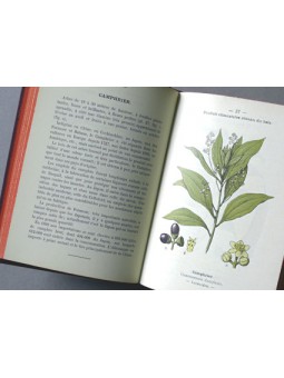 Atlas de poches des plantes des champs des pariries et des bois Serie 4