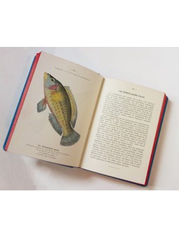 Atlas de poche des poissons de mer de la France et de la Belgique