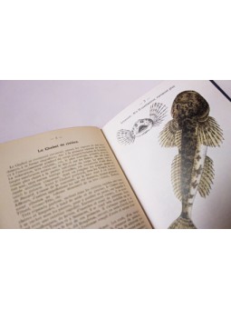 Atlas de poche des poissons d'eau douce de France, Suisse et Belgique