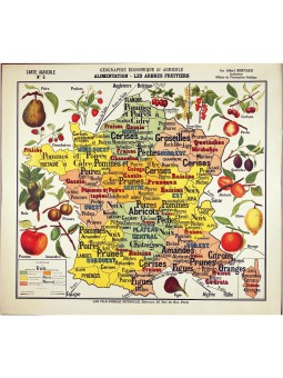 Carte de Géographie "Les Fruits"
