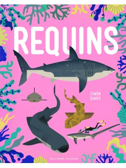 Requins