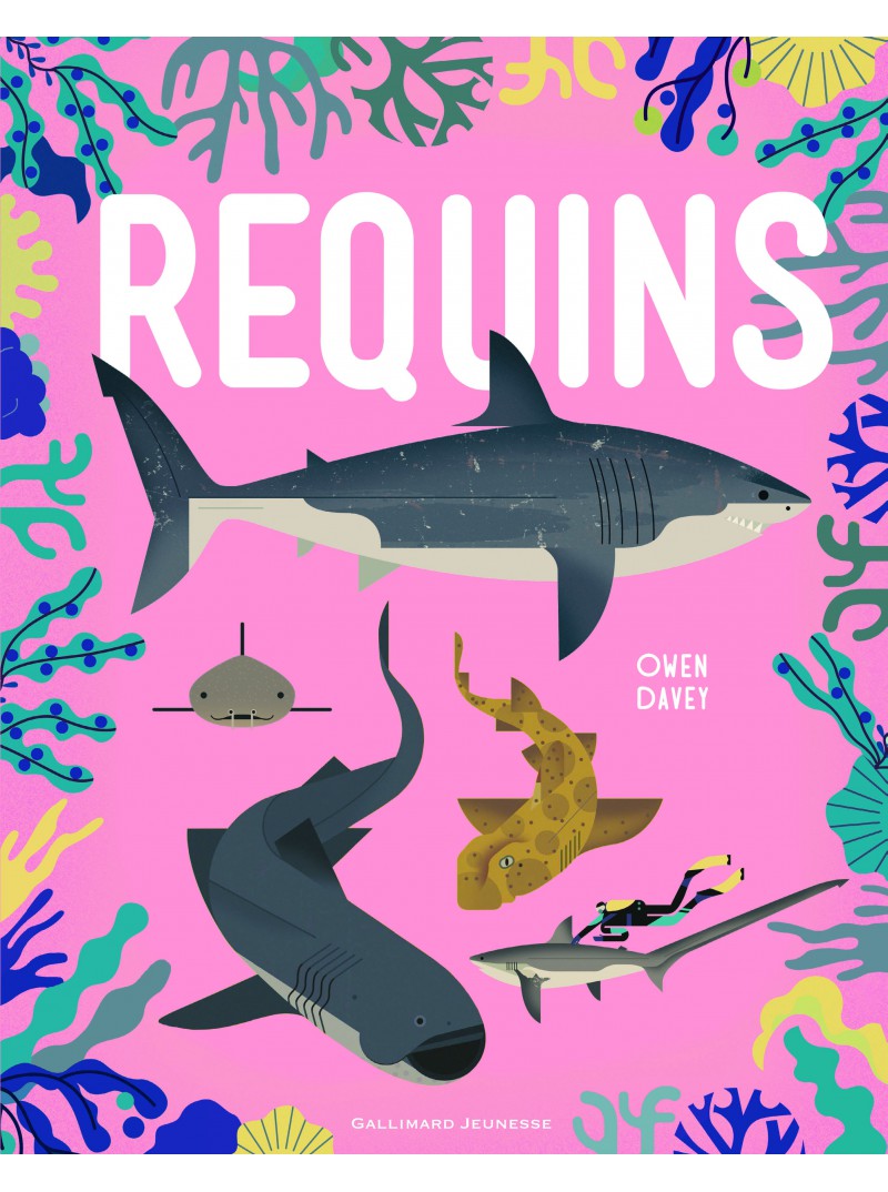 Requins