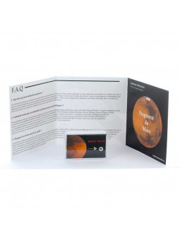 Véritable fragment de Mars