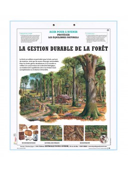 Kit pédagogique développement durable