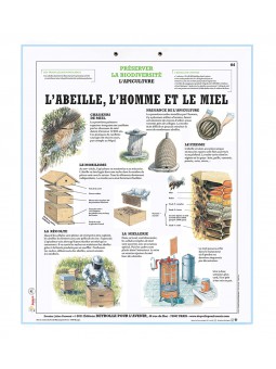 Kit pédagogique développement durable