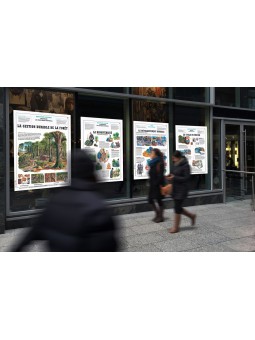 Kit pédagogique développement durable