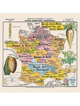Carte de géographie n°3 : "Plantes alimentaires et industrielles"