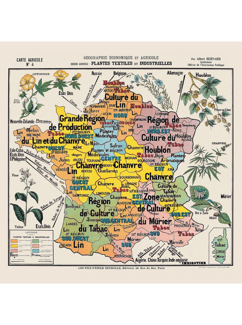 Carte de géographie n°4 : "Plantes textiles et industrielles"