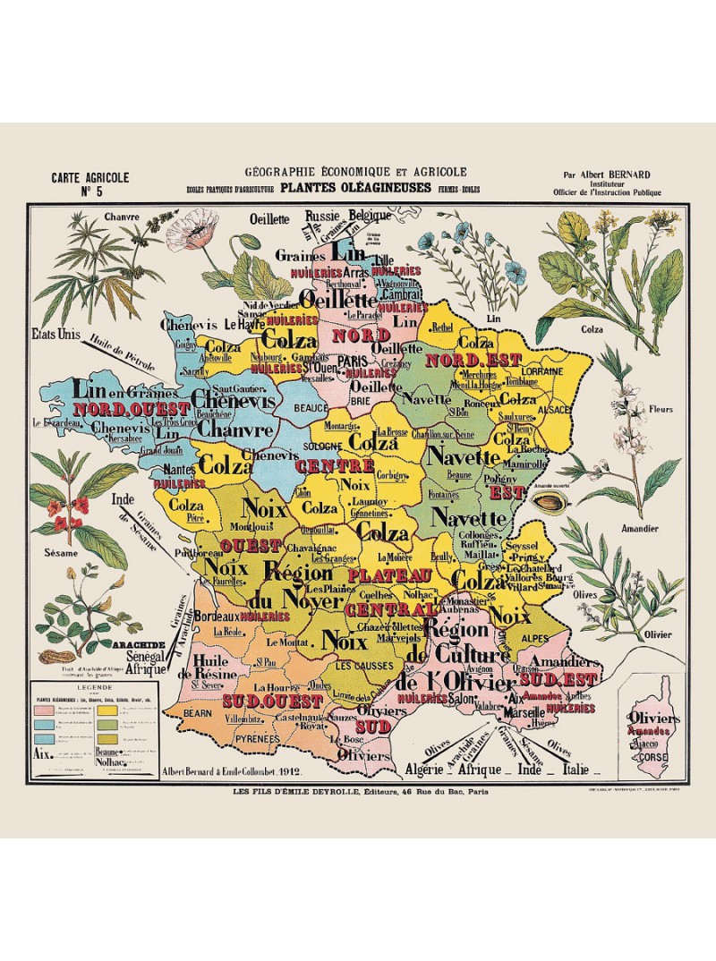 Carte de géographie n°5 : "Plantes oléagineuses"