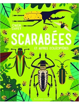 Scarabées