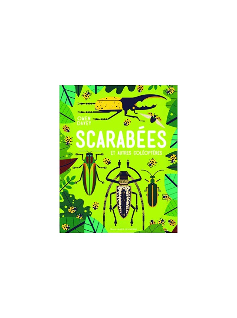 Scarabées