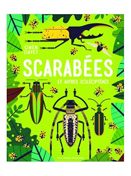 Scarabées