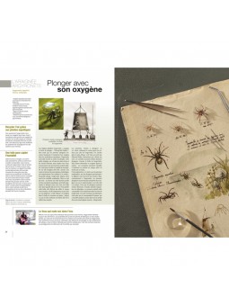 Quand la nature inspire la science 