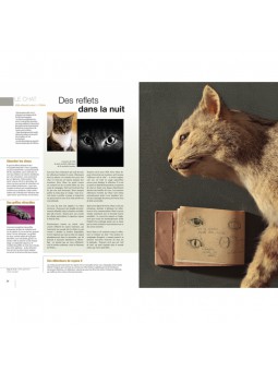 Quand la nature inspire la science 