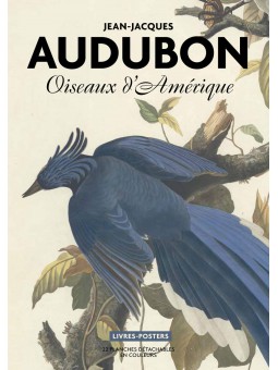 Audubon - Oiseaux d'Amérique. Livre-poster