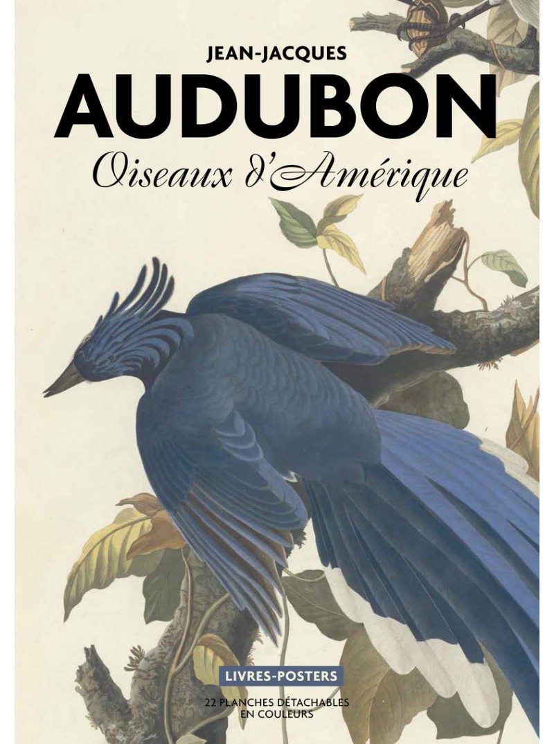Audubon - Oiseaux d'Amérique. Livre-poster