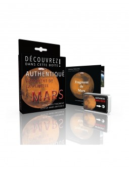 Véritable fragment de Mars