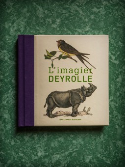 Le grand livre d'activité Deyrolle 2