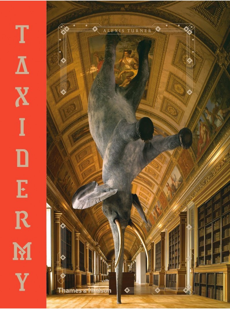 Histoire naturelle des animaux imaginaires