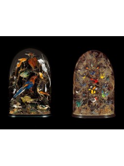 Histoire naturelle des animaux imaginaires