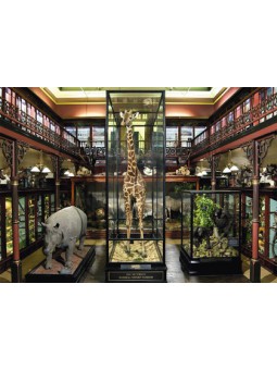 Histoire naturelle des animaux imaginaires