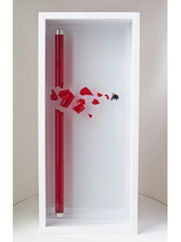 Impact 162 (Néon rouge)