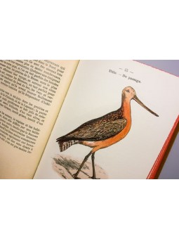 Atlas de poche des oiseaux de france