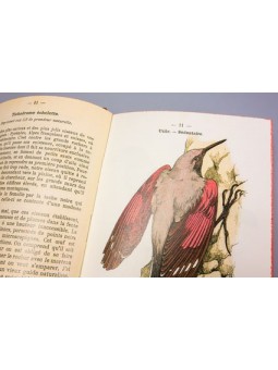 Atlas de poche des oiseaux de france