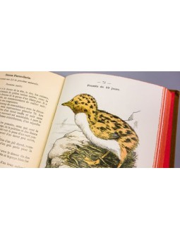 Atlas de poche des oiseaux de france