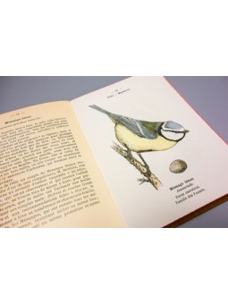Atlas de poche des oiseaux de france