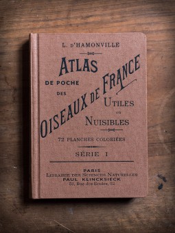 Atlas de poche des oiseaux de France Serie 1
