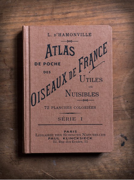 Atlas de poche des oiseaux de France Serie 1