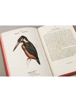Atlas de poche des oiseaux de France Serie 1