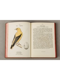 Atlas de poche des oiseaux de France Serie 1