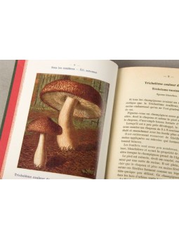 Nouvel Atlas de poche des Champignons
