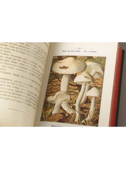 Nouvel Atlas de poche des Champignons