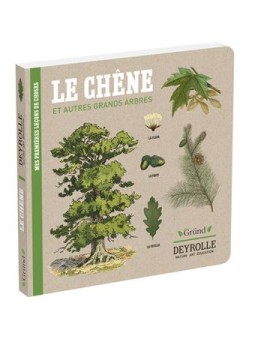 Le chêne et autres grands...