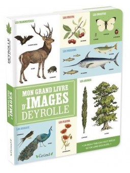 Mon grand livre d'images...