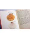 Atlas de poche des coquilles des côtes de France