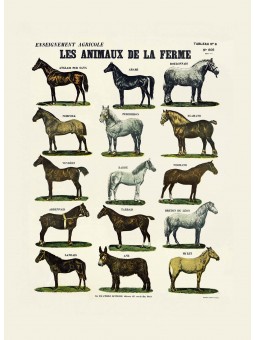 Les animaux de la ferme :...
