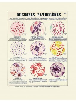 Microbes pathogènes