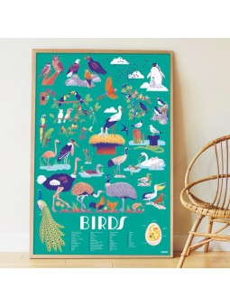 Poster géant "Oiseaux" + 45...