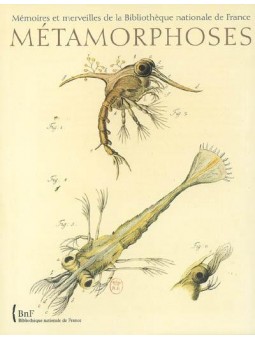 Métamorphoses - Le monde...