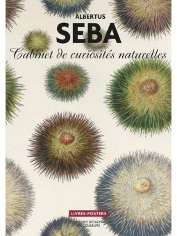 Livre poster : Le cabinet...