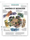 Coopérer et Mutualiser