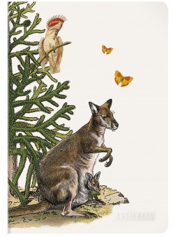 Carnet A4 Deyrolle x...